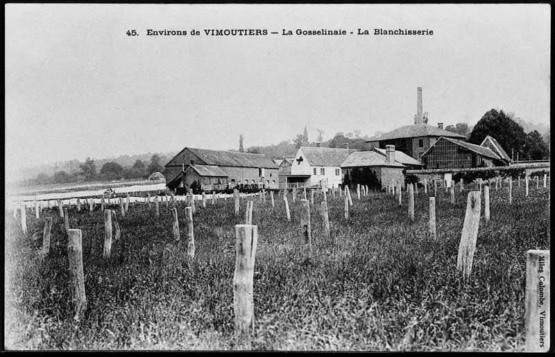 usine de blanchiment