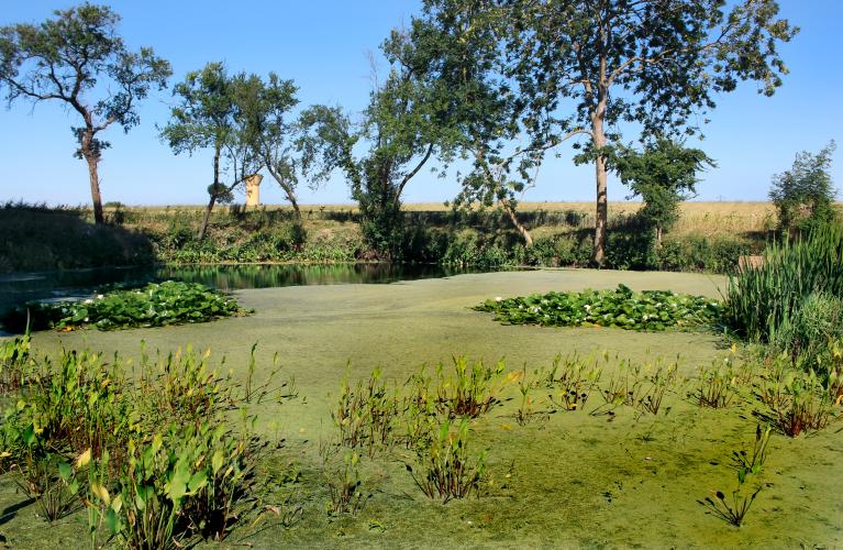 présentation de l'aire d'étude : Barneville-sur-Seine, Honguemare-Guenouville et Le Landin