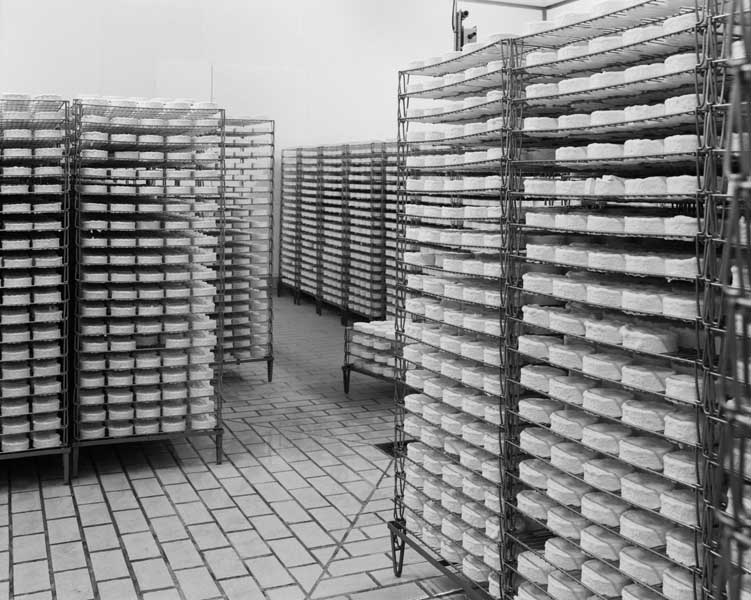 filature, puis fromagerie industrielle