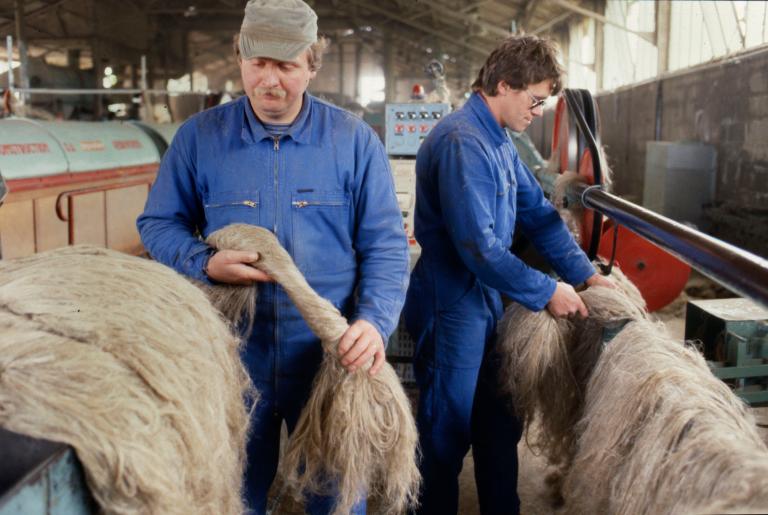 usine de teillage de lin, dite coopérative linière du Roumois puis coopérative Terre de Lin