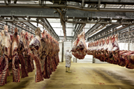 abattoir municipal et usine de produits agro-alimentaires Promoviande, puis Soviba Villers-Bocage, puis Elivia