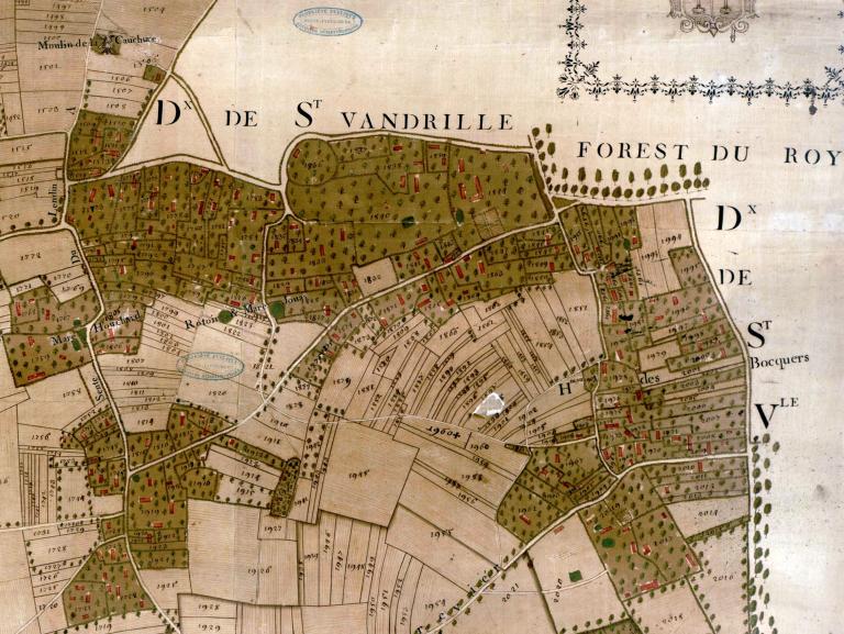 mares de Hauville