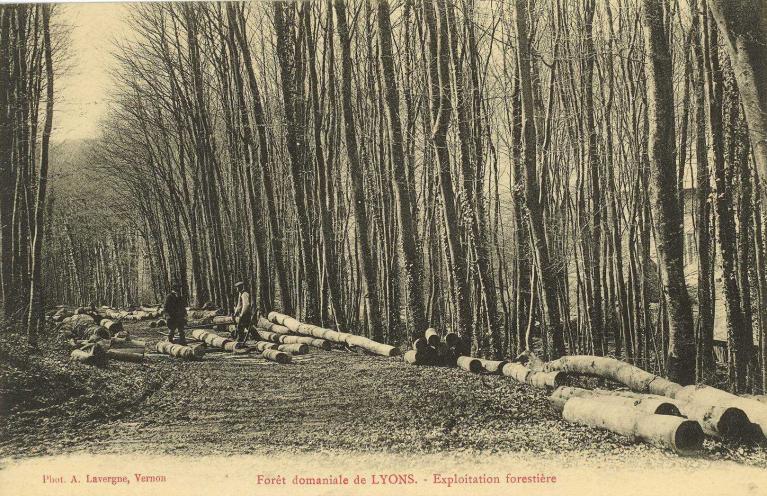 l'industrie du bois du bassin hydrographique de l'Andelle