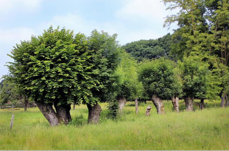 présentation de la commune de Barneville-sur-Seine