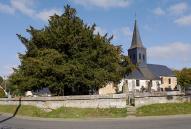 Eglise de Barneville-sur-Seine et if dans l'enclos du cimetière.