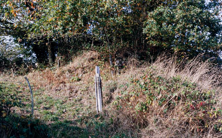 La céramique industrielle dans le Bessin (Calvados) et le département de la Manche : les poteries