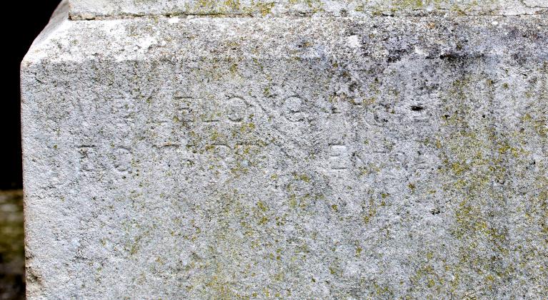 monument aux morts de la guerre de 1914-1918 : France en deuil secourant l'un de ses fils mourant pour sa défense