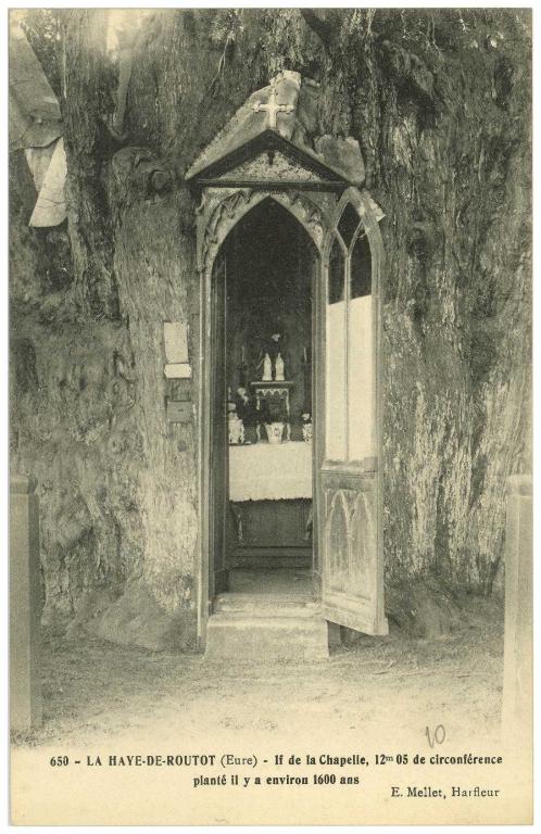ifs millénaires, chapelle Sainte-Anne-des-Ifs et oratoire Notre-Dame-de-Lourdes