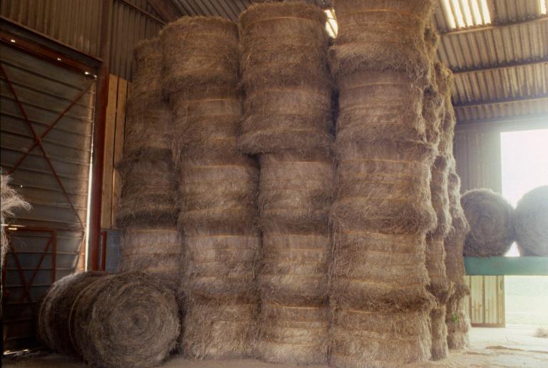usine de teillage de lin, dite coopérative linière du Roumois puis coopérative Terre de Lin