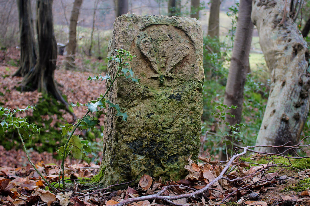 bornes de délimitation de la forêt royale