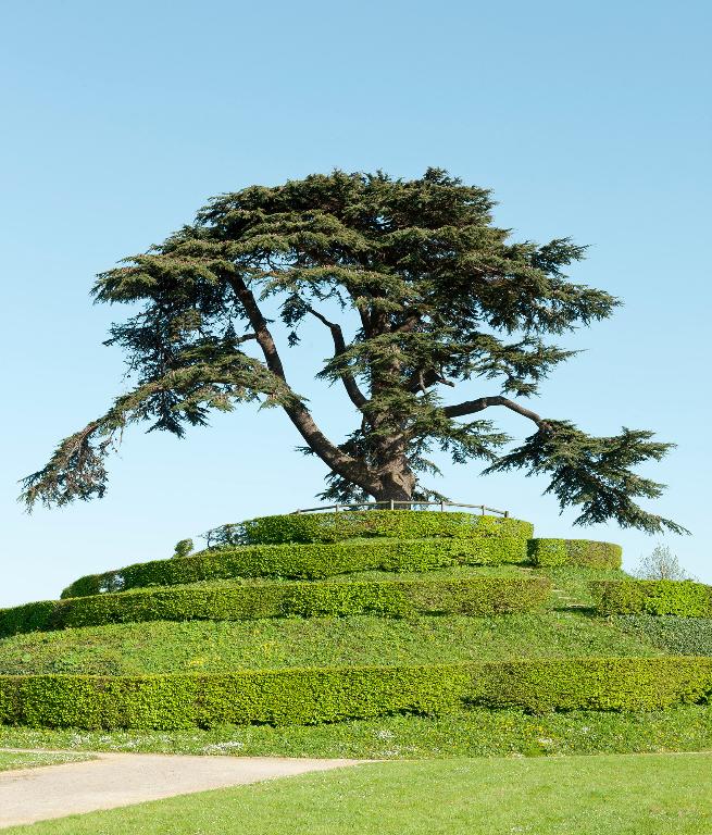 Le Mont-Liban.